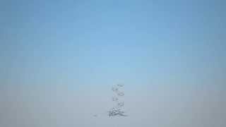 TenFold - Mast