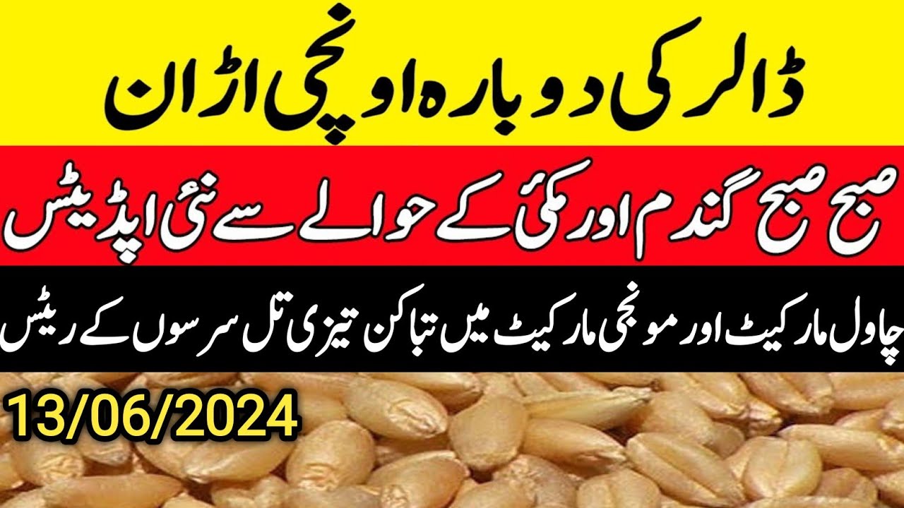 today wheat price/wheat price in pakistan/Munji makki till sarso rates ...