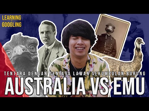 Australia Yang Kalah Perang Lawan Burung Emu! Senapan Mesin Gak Mempan? | Learning By Googling
