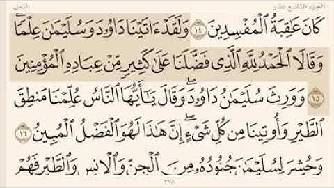 آيات بينات من سورة النمل بصوت فضيلة القارئ إسلام صبحي حفظه الله🌹🌹