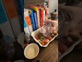 one pan chicken dinner