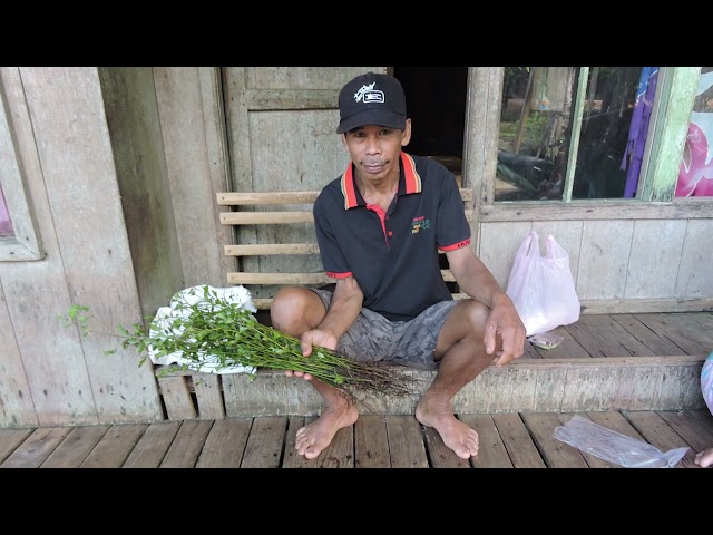Strategi Nafkah Rumah Tangga Petani Hutan Kayu Manis (Penelitian Program Dosen Wajib Meneliti)