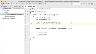 6. Comments in Java