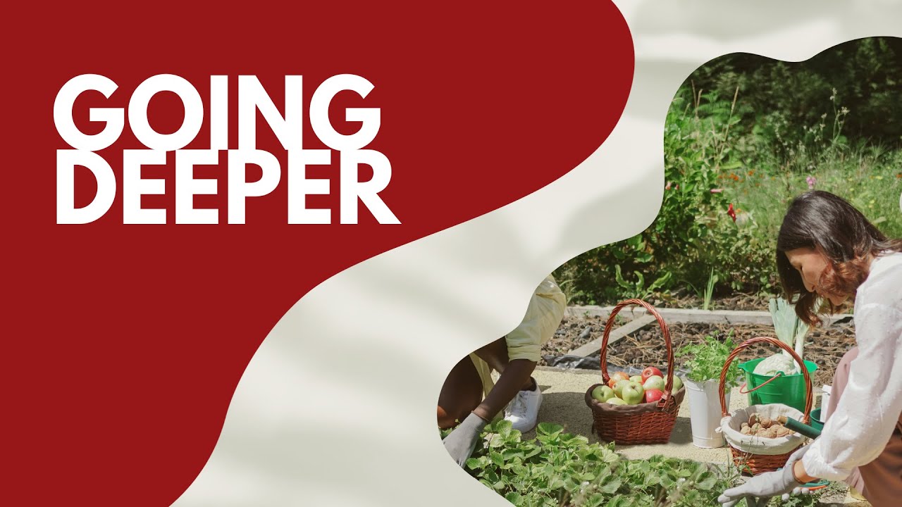 How to Help People with Needs | 10-29-2023 | Bruce Colbert - YouTube