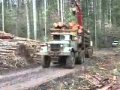 LOGGING ACTION.mpg