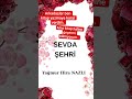 kitap yazıyorum #kitaplar #sevdaşehri#keşfet #kitapönerisi