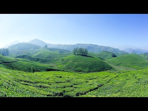 Munnar tea garden drive | Thekkadi to munnar route | Kerala tourism