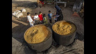 Halid Halife Suriyeli Yazar Vatan Hasadı Suriye Bulguru Sezonu Köylülere Nasıl Neşe Getirirdi?