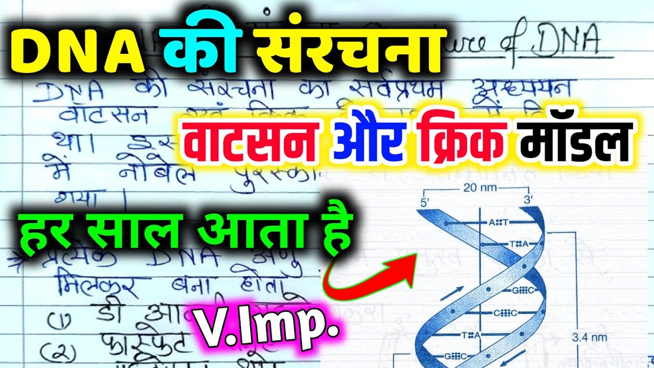 DNA की संरचना | DNA का वाटसन और क्रिक मॉडल | Structure of DNA | 10th & 12th Biology | DNA sanrachana