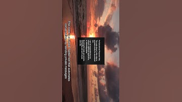 Twitter Bot Accept Dms Message