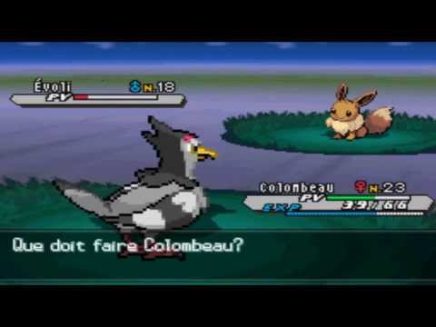 comment trouver evoli dans noir 2