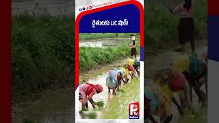 రైతులకు LIC షాక్! | LIC Stopped Telangana Farmers | Rythu Bheema | Latest Updates | Pallavi TV