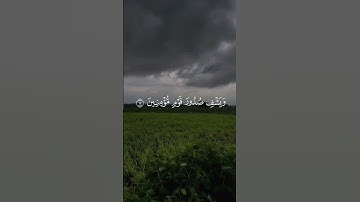 ﴿ سورة التوبة  : 14 ﴾ || القارئ محمد اللحيدان ﴿ وَيَشْفِ صُدُورَ قَوْمٍ مُّؤْمِنِينَ ﴾