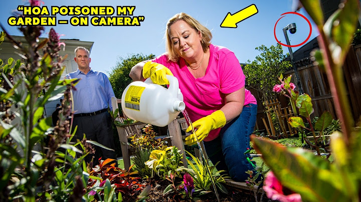 HOA Karen Poisoned My Garden — Then Realized I'm the Judge at Her Trial