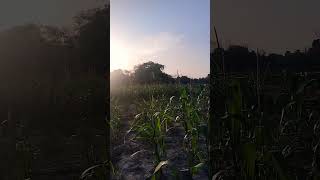 2 April 2026 Profile