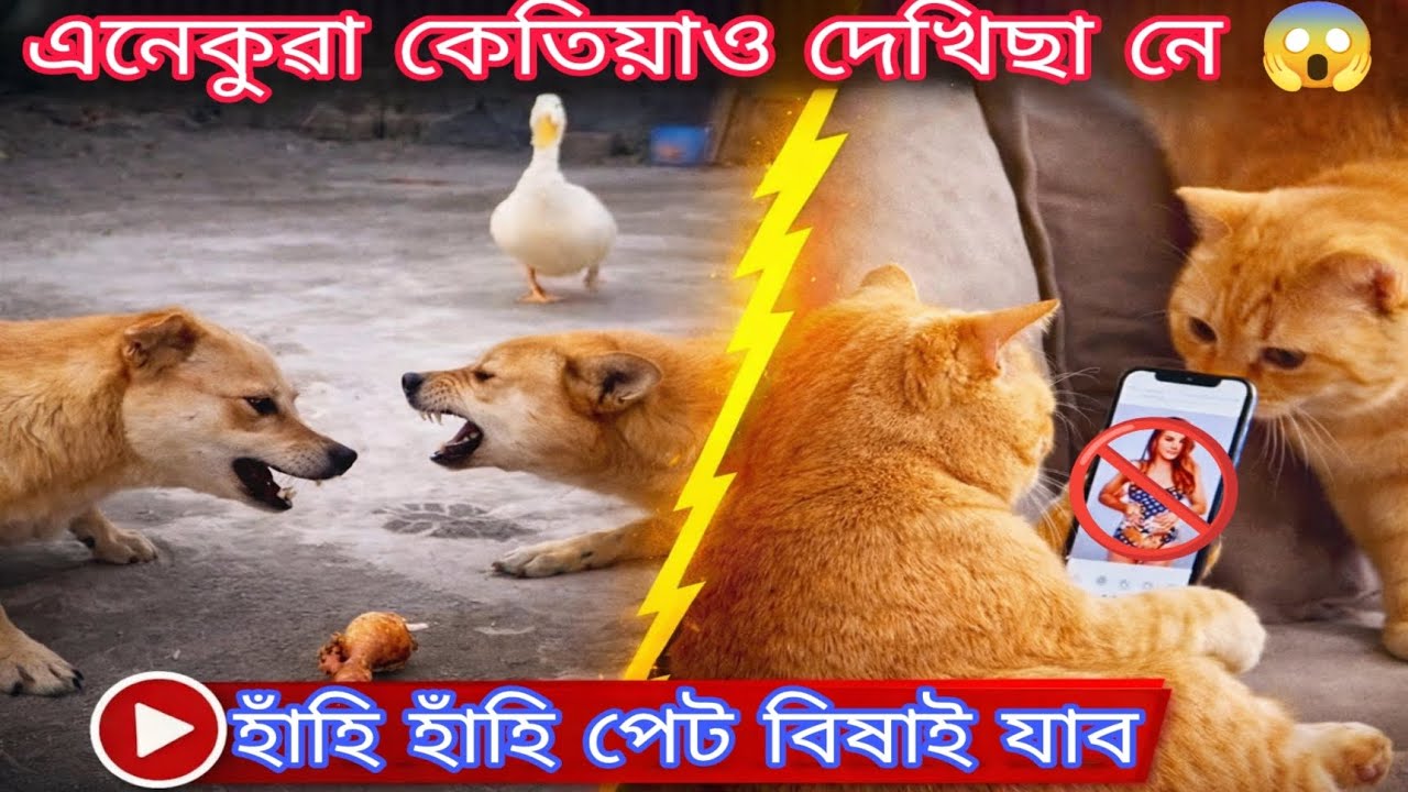 assamese reels instagram | x lover funny video | best assamese trending video | 