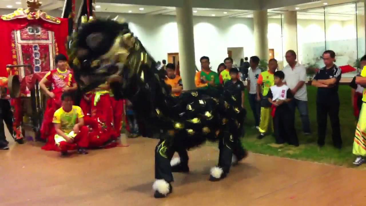 Traditional Hong Kong lion dance YouTube
