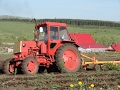 LTZ-60 tractor plowing /// Трактор ЛТЗ-60АВ вспашка огорода