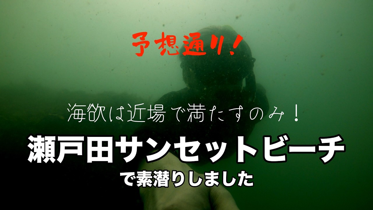 【瀬戸内で素潜り】瀬戸田サンセットビーチ【8月の海はプランクトンの海】