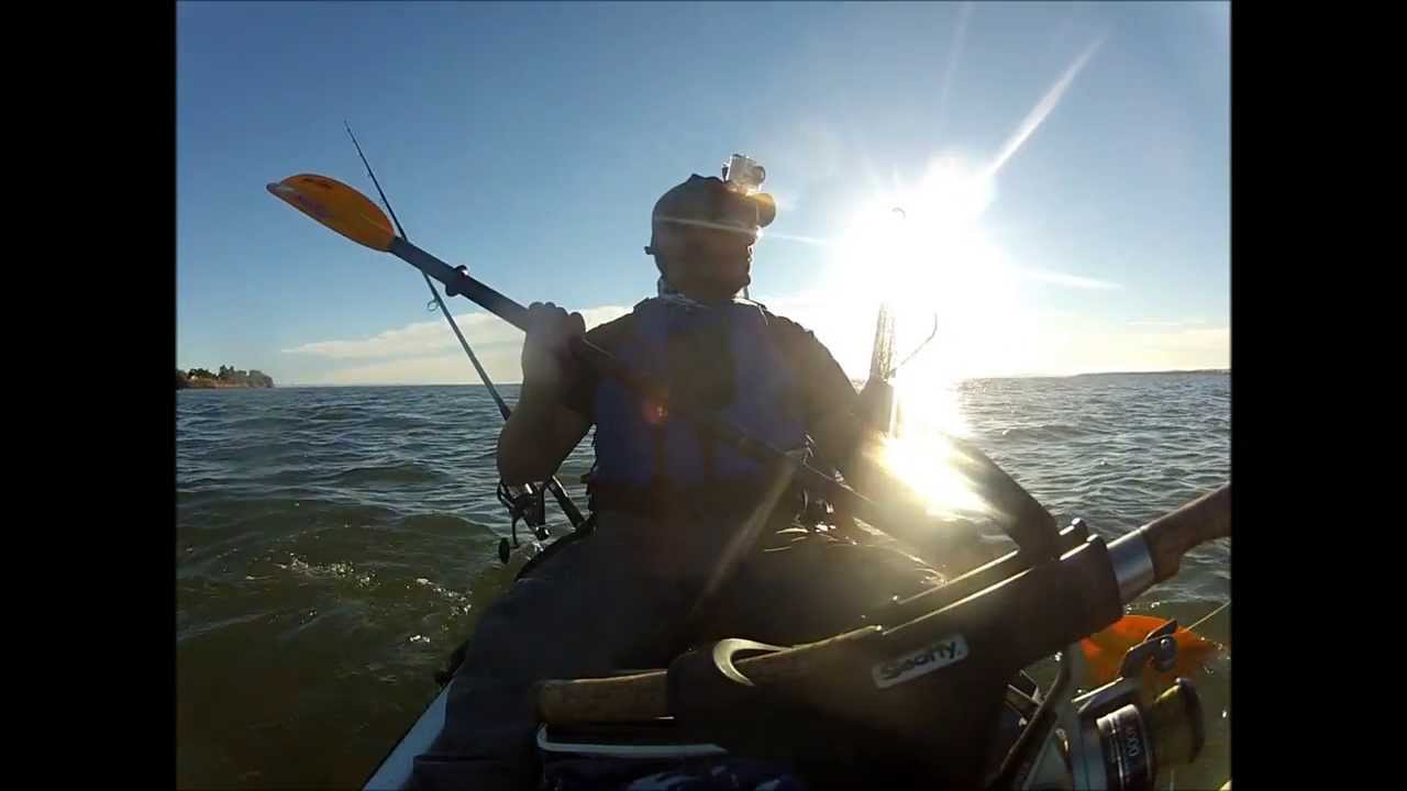 Kayak Fishing Stripers! YouTube