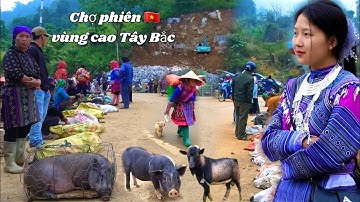 Coc Ly Market – Bac Ha | Surprised by the Market Selling Mountain Goat, Pig, H
