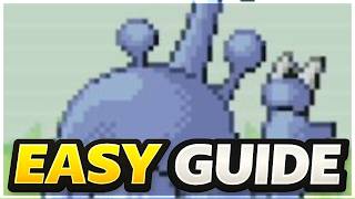 Heracross Location Guide – Pokémon FireRed &amp; LeafGreen