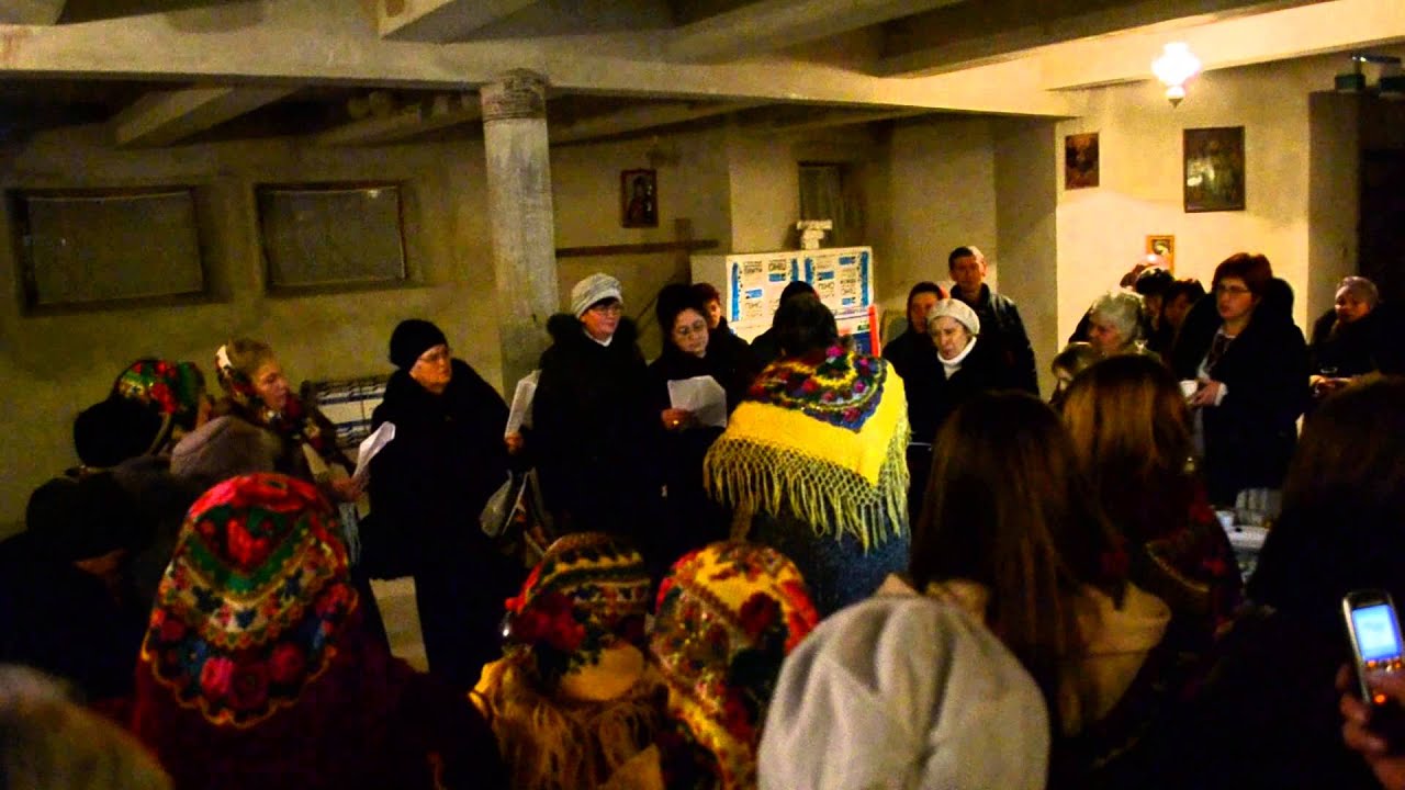 пливе кача по тисині - YouTube