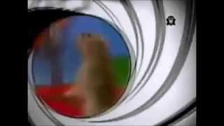 Random Video Of The Week Dramatic Chipmunk