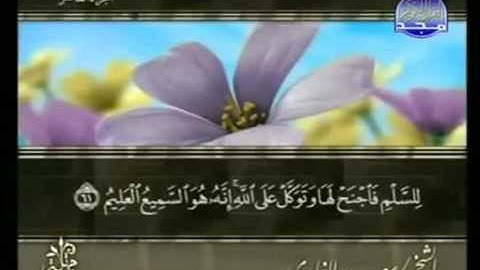 القران الكريم|الجزء العاشر (10)|الشيخ سعد الغامدى