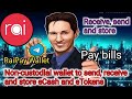 How can you benefit and deal with the application? RaiPay Wallet