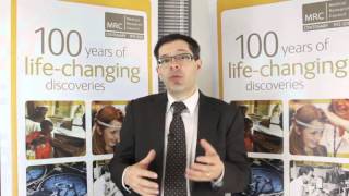 UK Biobank Imaging Study - bones