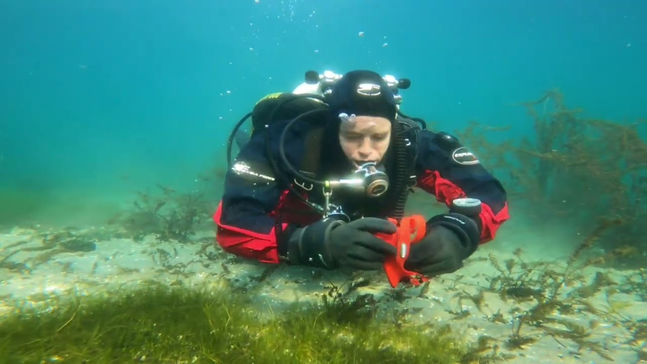 TDI Intro to Tech Chris