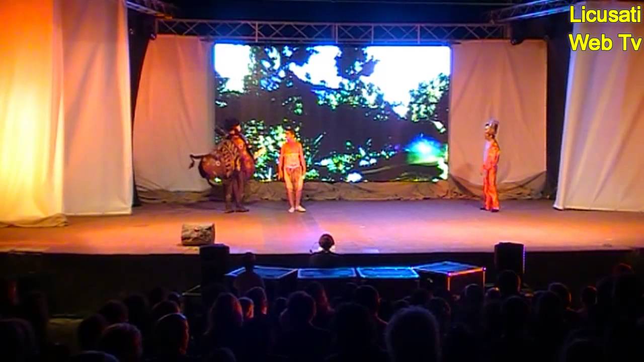 Musical '' IL RE LEONE '' Camerota 17 Agosto 2015
