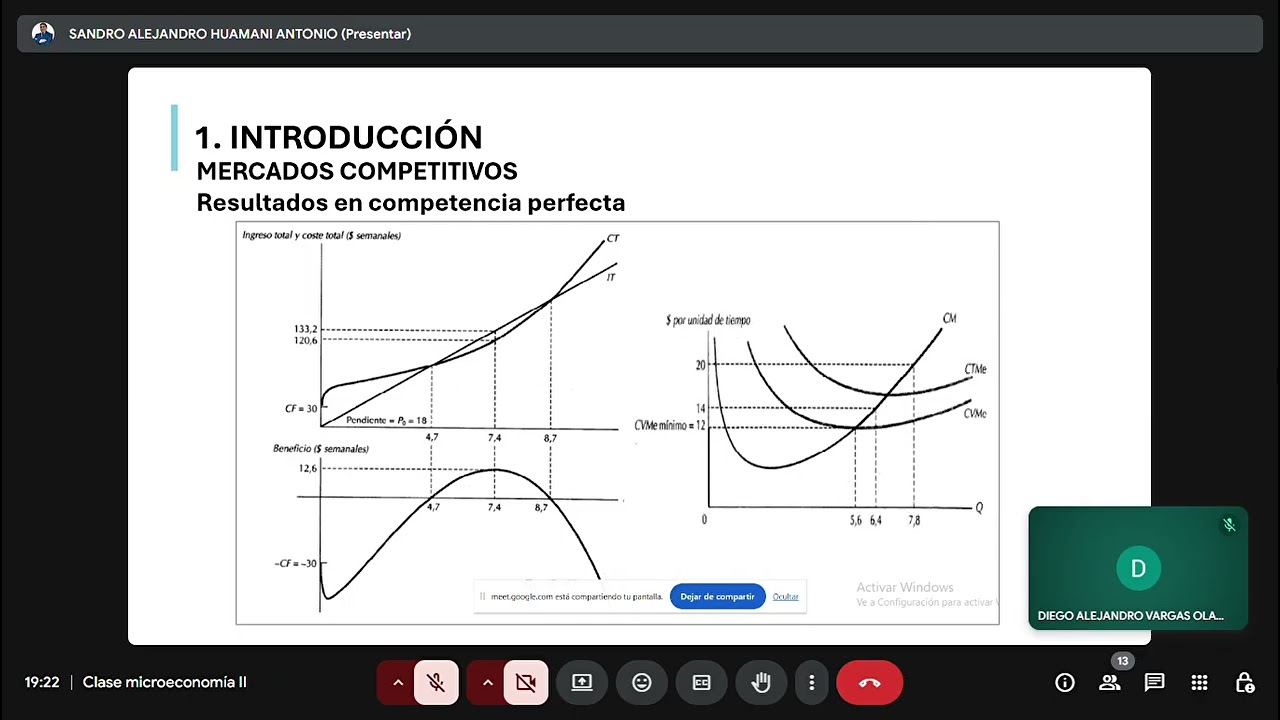 Microeconomía II - Fallas de Mercado (Parte II)