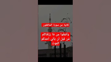 تلاوة هادئة #قران_كريم #المصحف #quran #تلاوة_خاشعة #محمد_اللحيدان #ياسر_الدوسري
