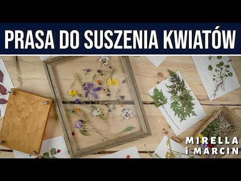 Wideo: Jak Suszyć Kwiaty