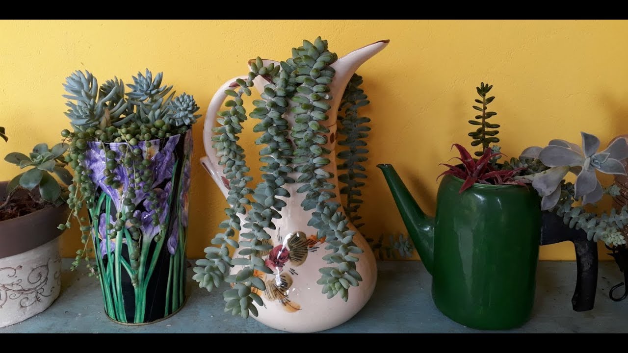 PROJETO: TUDO VIRA VASO