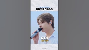 세븐틴 같은 파트 다른 느낌 #세븐틴 #에스쿱스 #윤정한 #조슈아 #준 #호시 #전원우 #우지 #디에잇 #김민규 #도겸 #부승관 #버논 #디노 #seventeen #svt