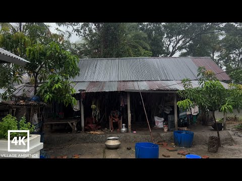 Rain in Bangladeshi