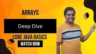Celebrity Arrays in Java |Contiguous Allocation in Memory Profile