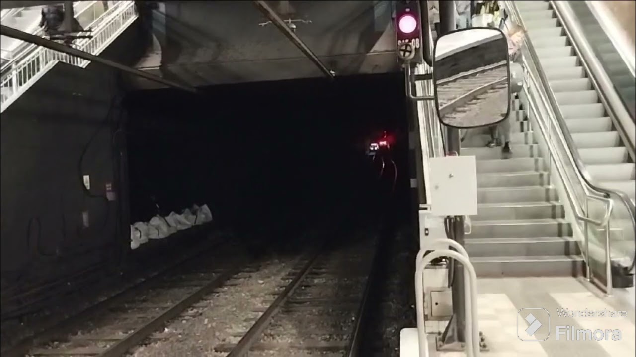 2 S5000 en Camp de l'arpa L5 (23 de febrer del 2024)