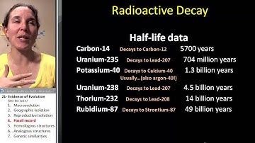Evidence of Evolution 4- Fossil record