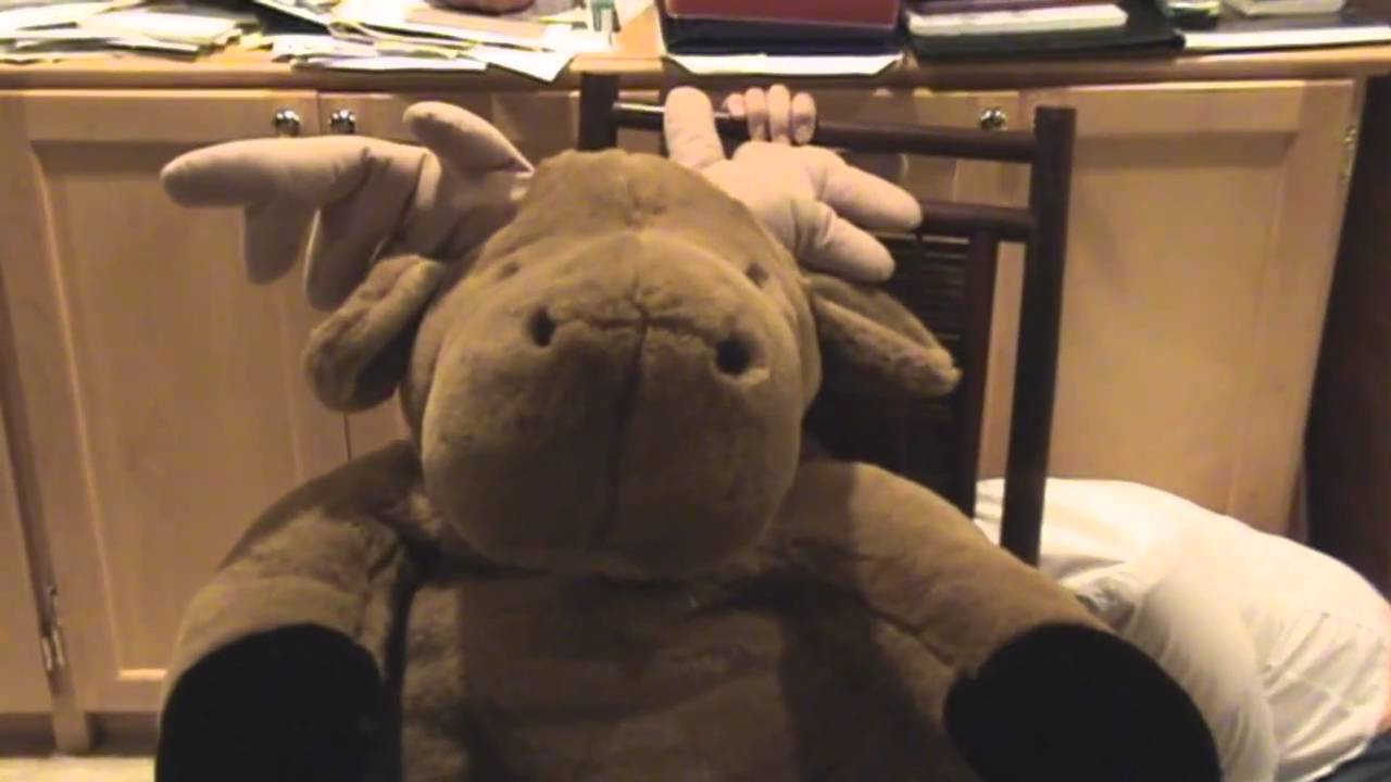 Thermidorian Reaction Documentary