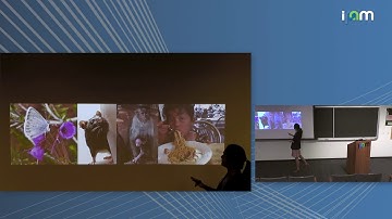 Bing Brunton: "Fields and flows in neural dynamics"