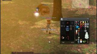 Mabinogi - 10 Years Old Kills a  Brown Bear - The Easy Way