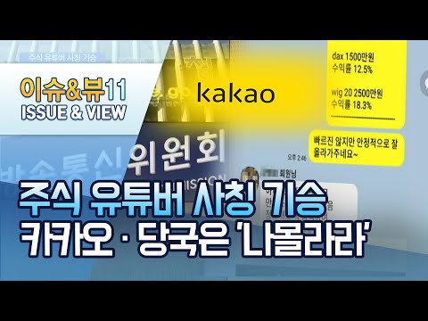 주식 유튜버 사칭, 결국 사기 사건으로...손 놓은 카카오·관계당국 / 머니투데이방송 (뉴스)