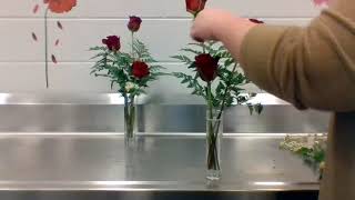 3 Rose Bud Vase Arrangememt