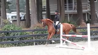 20121011_102836.mp4