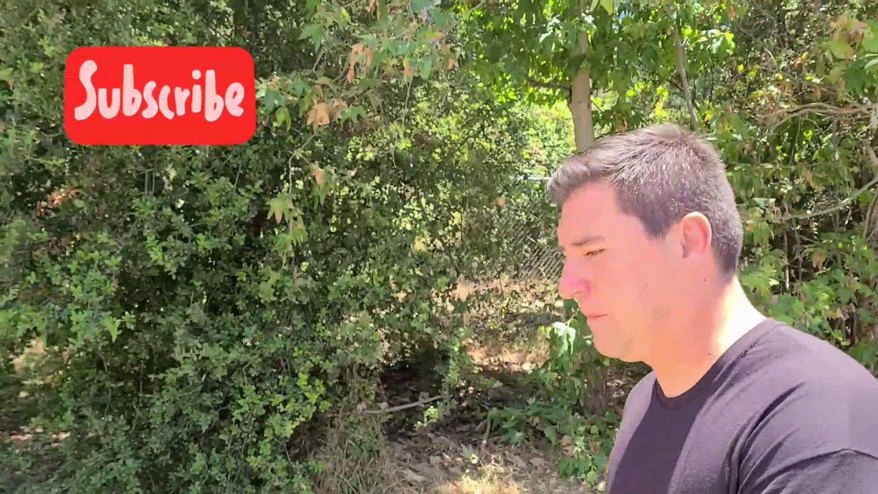 Scavenger Hunt Clues - Nature420 with Pedro420 - Ernest E. Debs Park - LET ME KNOW IF YOU FOUND IT.