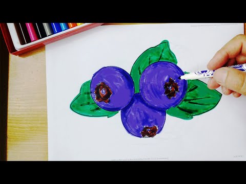 Video: Cómo Dibujar Bayas